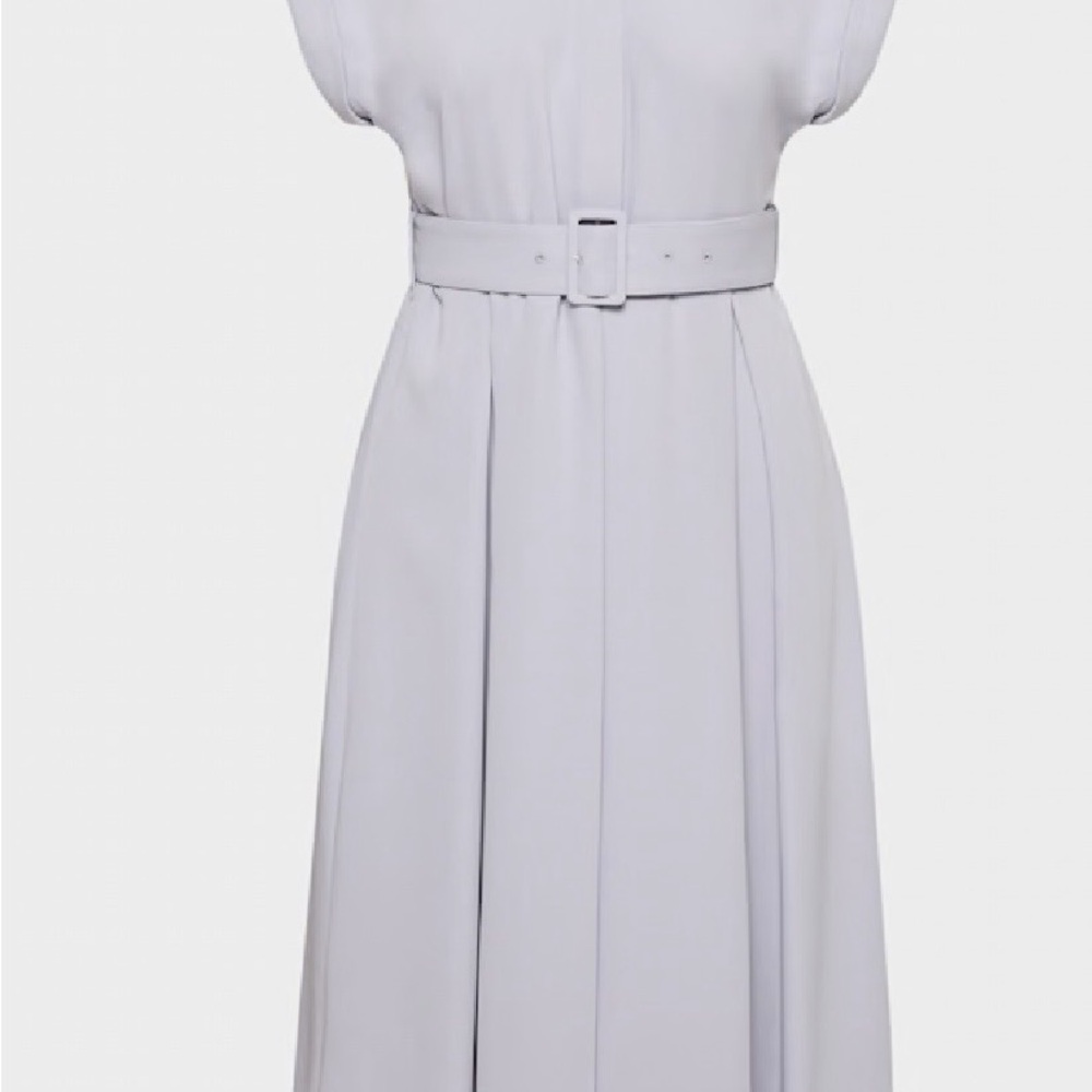 Aritzia Babaton Belted Dress